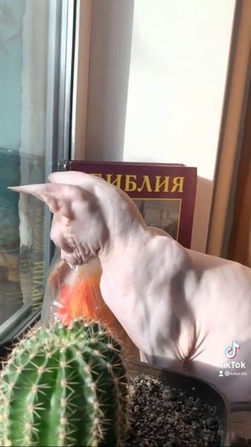 7 марта 2022 г.