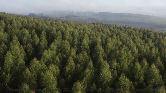 Он заставит тебя поверить в сказку снова! - Pastures -- Ketsa -- As Above So Below