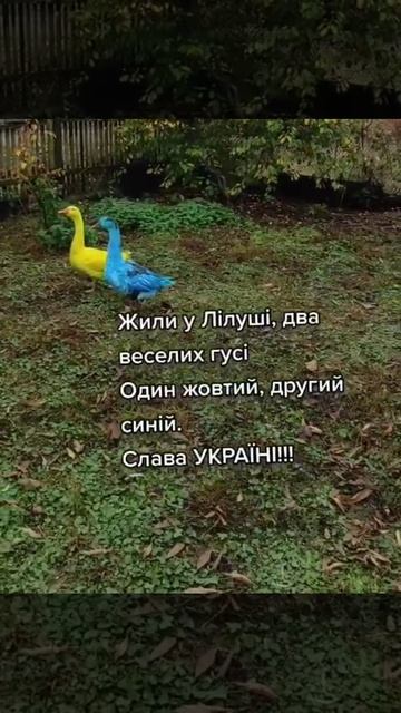 🔴Как вы считаете, с хохлами всё в порядке😆🔴