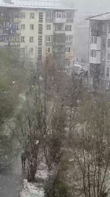 Вчера, 17.06.2025 в Воркуте