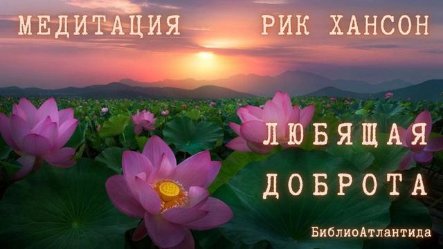 Рик Хансон.  Медитация
