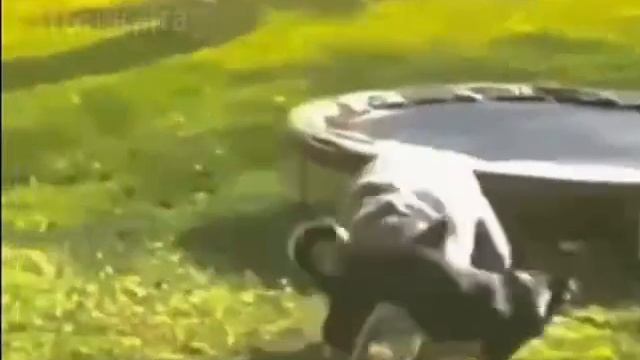 Завел с толкача.
