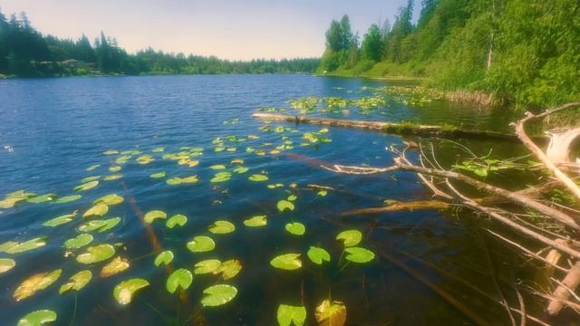 🍀 Спокойный звуковой ландшафт озера Желание