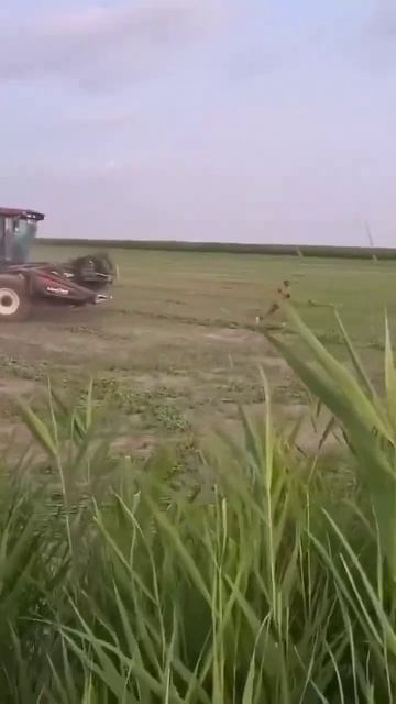 В Дурке решили мобилизовать комбайнера!