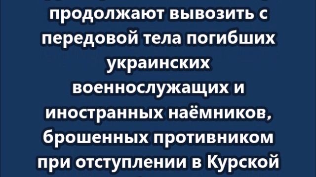 Десант «Севера» эвакуирует тела украинских бойцов и наёмников в Суджанском районе