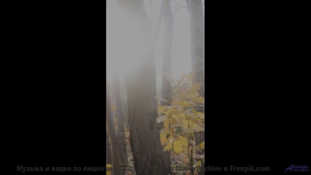Музыка ведёт сквозь пространство сильнее любого полёта - Trot Tune -- A. A. Aalto -- Connections
