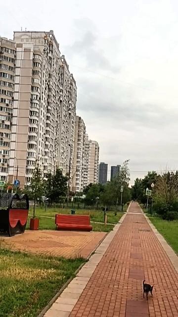 Московское утро, хвостик трубой.