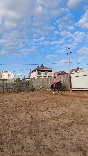Флейта и Ульяна, рысь на плацу, подготовка к стартам.