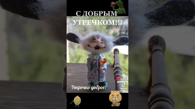 1000042544.mp4