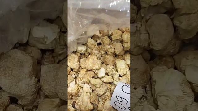 Ежовик гребенчатый