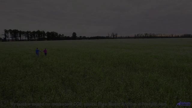 Мелодия, которую играют только духи! - The Man Who Murders Love -- Taylor Poe -- Quiet Sound of Disa