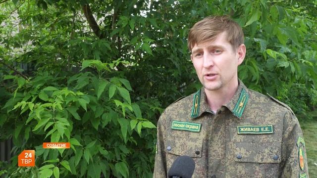 Санитарная рубка на Ферме