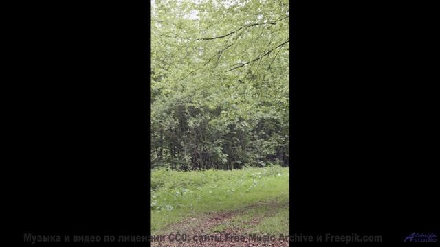Этот бит бьёт сильнее, чем волны о скалы! - Life and Times -- Derek Clegg -- Good Graces