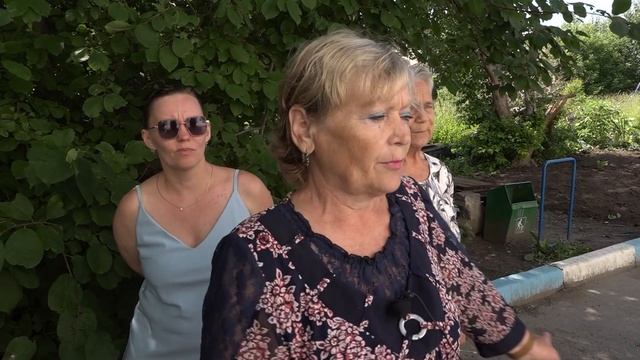 Дворы Новосибирска: поваленные деревья и заросшие травой детские площадки // "Новости 49" 17.06.25