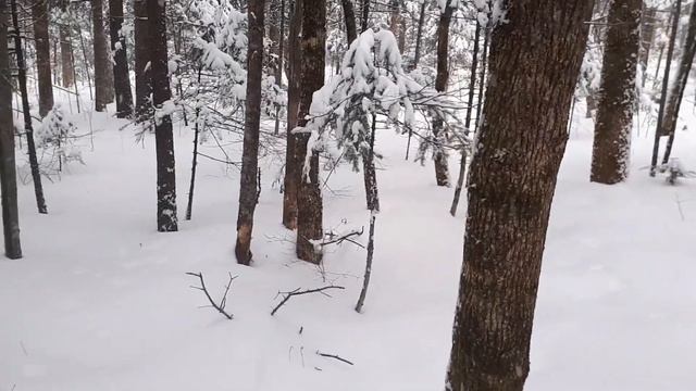 Заснеженный Хехцир