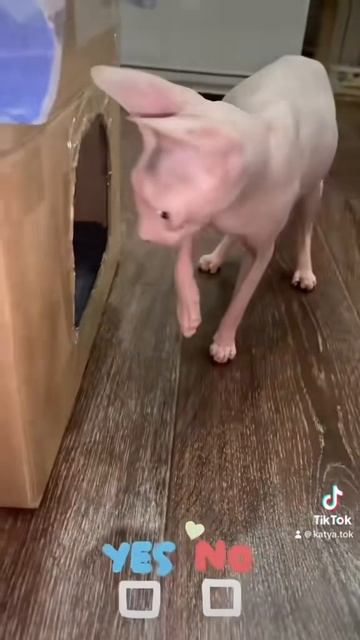 16 июля 2023 г.