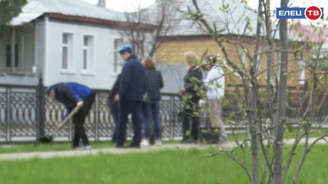 «Посади дерево»: елецкие школьники приняли участие в  ежегодной городской акции
