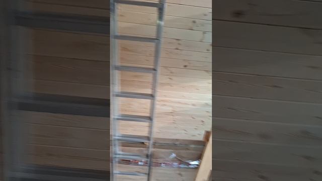 1000026782.mp4 (Собака смотрит на крепление имитации бруса внутри дома А-фрейм)