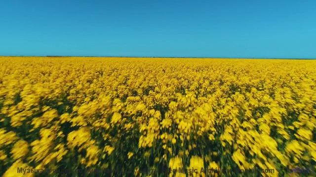Музыка качает мысли, как ветер качает траву - Soft Inspiration -- Scott Holmes Music -- Inspiring Ba