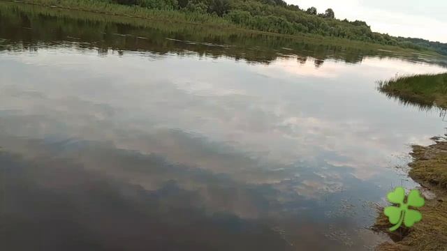 река Тура пос.Санкино