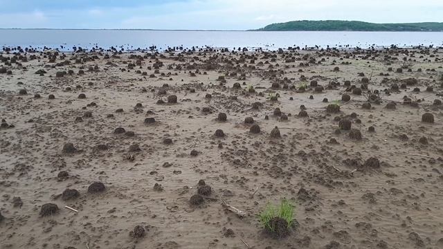 Петропавловское озеро. Велопутешествие выходного дня.