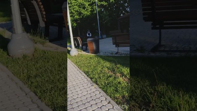 Это мы летом