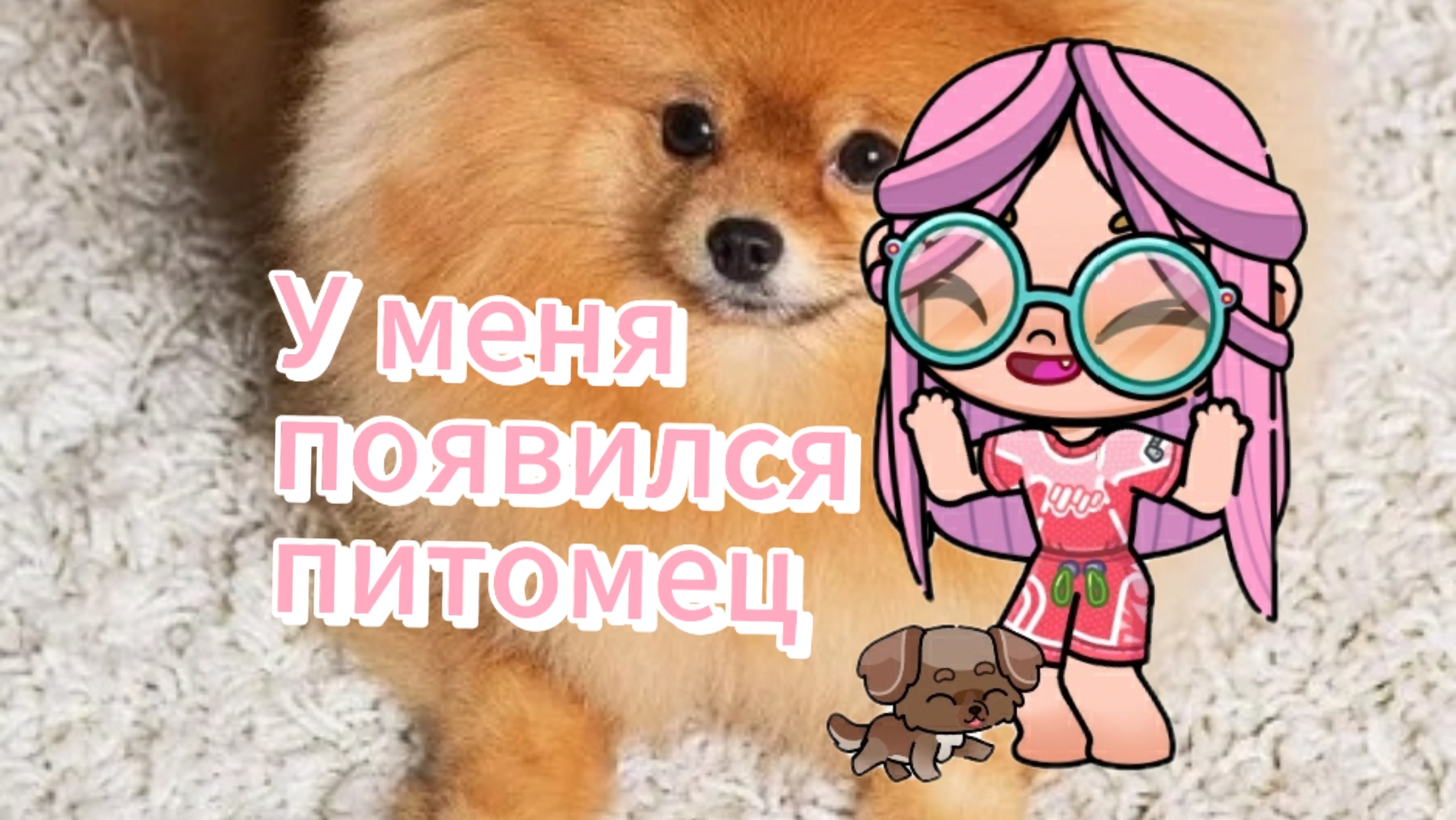 У нас с «Favourite Dasha» появились ПИТОМЦЫ🐶 история/avatar world/