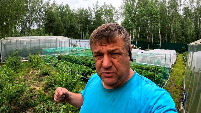 Как спасти клубнику от птиц и пересадить кроликов: советы и секреты!