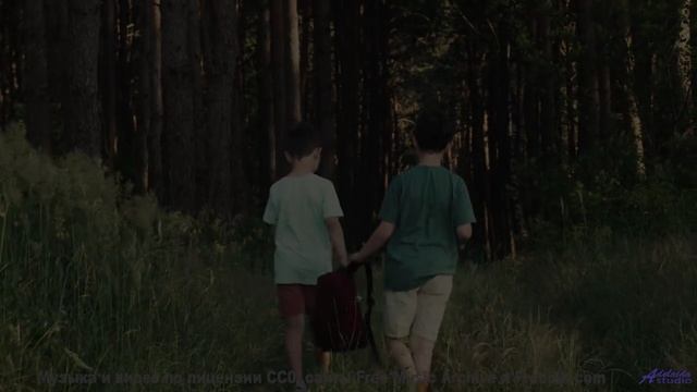 Лес под таким звуком кажется бесконечным и живым - So My Love - Instrumental -- Anthem of Rain -- Fr