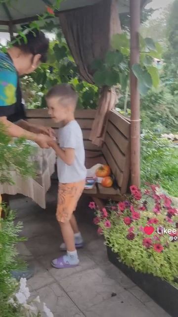 Мой брат и моя бабушка
