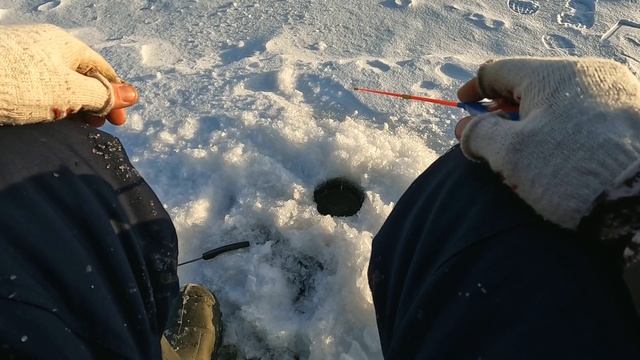 ПОСЛЕДНЯЯ ЗИМНЯЯ РЫБАЛКА В 2024 ГОДУ, ПРЕДНОВОГОДНЯЯ РЫБАЛКА НА ОКУНЯ