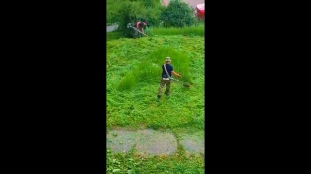 Косим трын-траву. #shorts