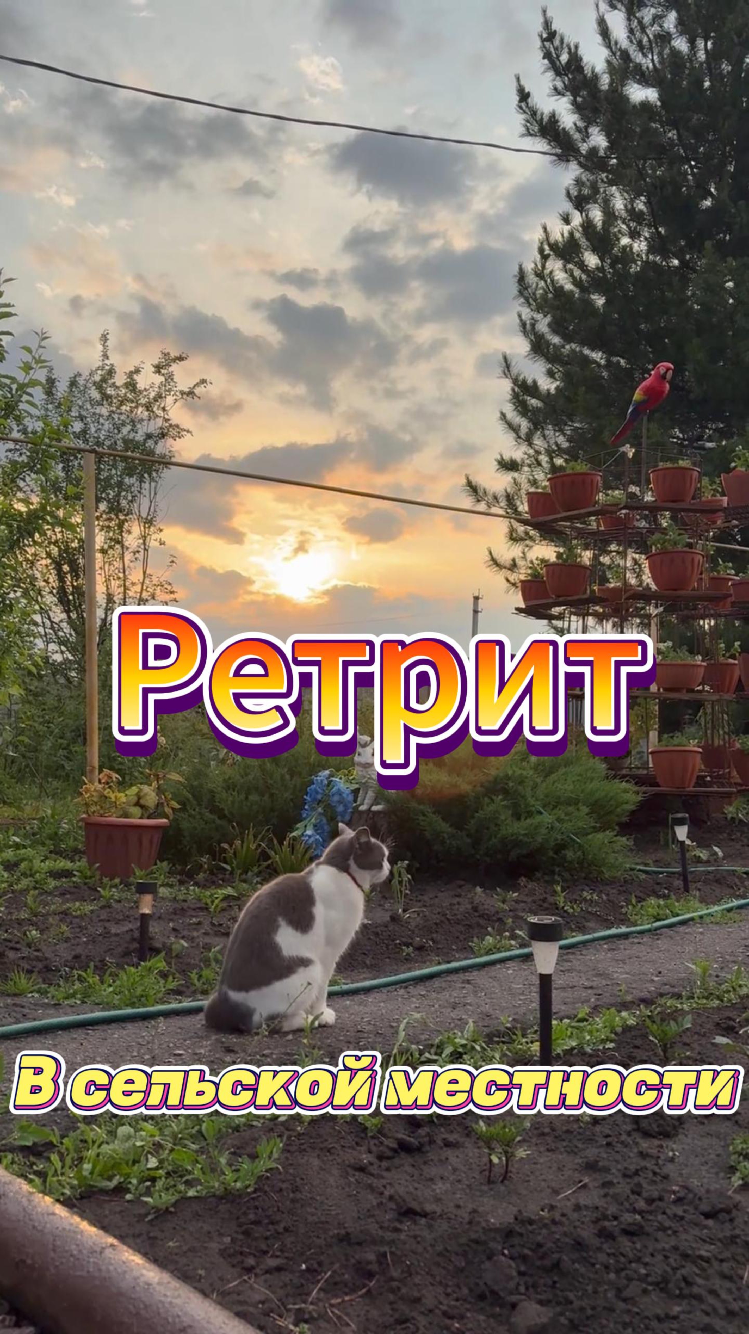 Театральные будни/Ретрит/Отпуск
#актер #певец #театр #отпуск #новосибирск #сибирь