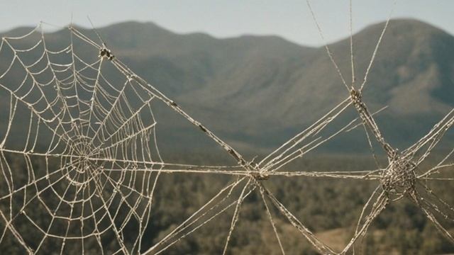 Твёрдый бизнес и франчайзинг стоит ли начинать успешное дело