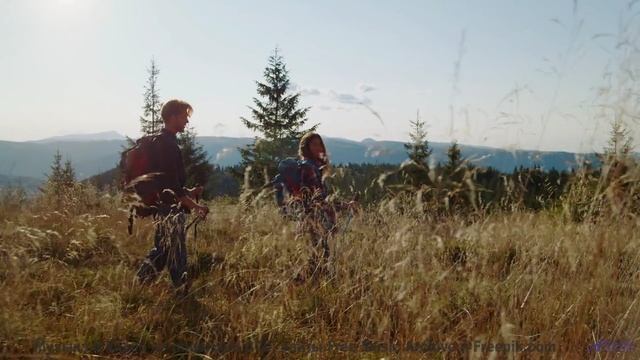 Горы звучат иначе с этим треком! - Wont need Money Where Im Going -- HoliznaCC0 -- All The Years Ive