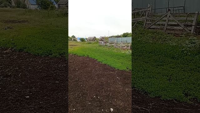 1000004956.mp4