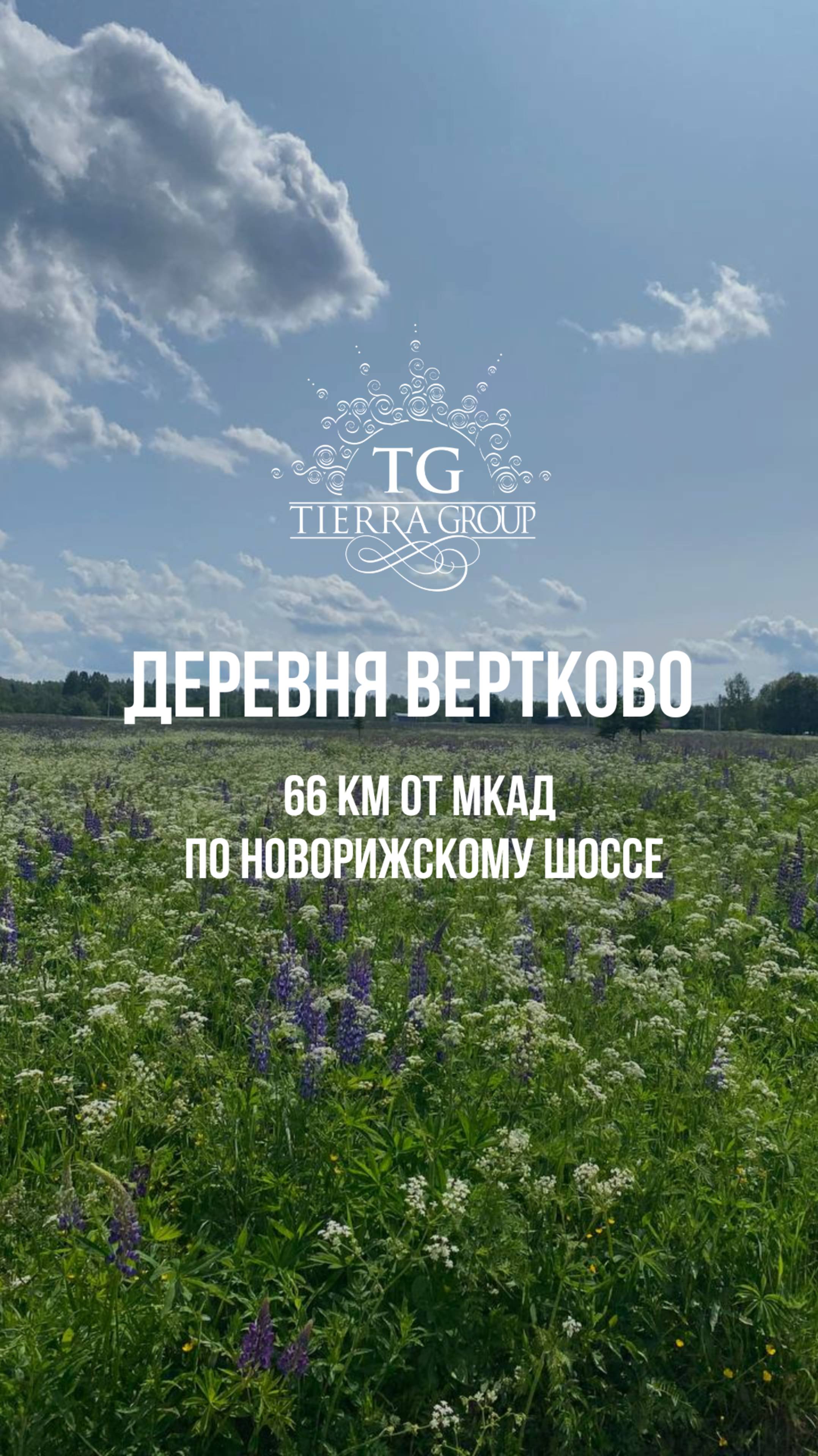 🌲✨ Приглашаем на просмотры в деревню Вертково! ✨🌲
