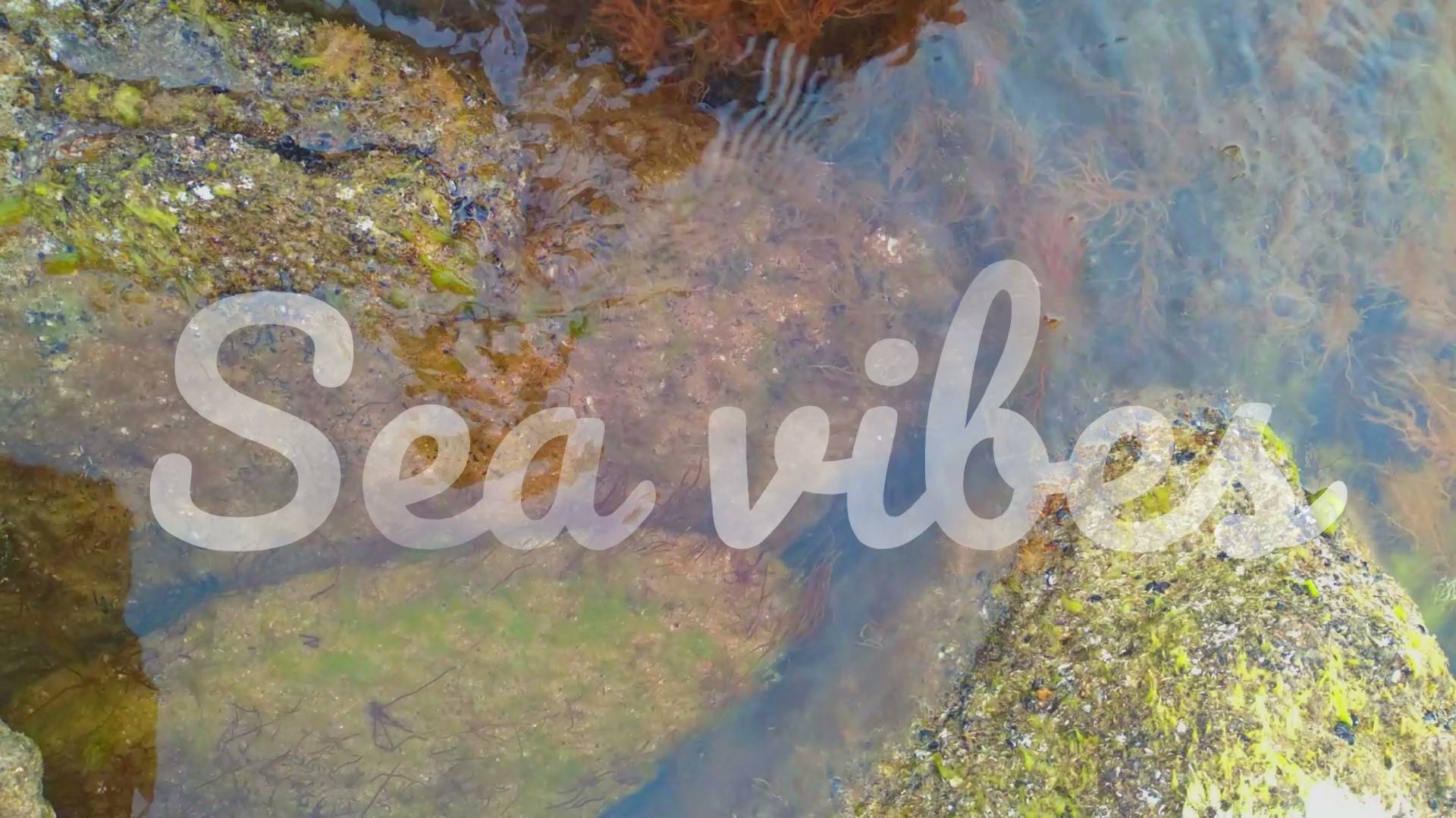 Sea vibes