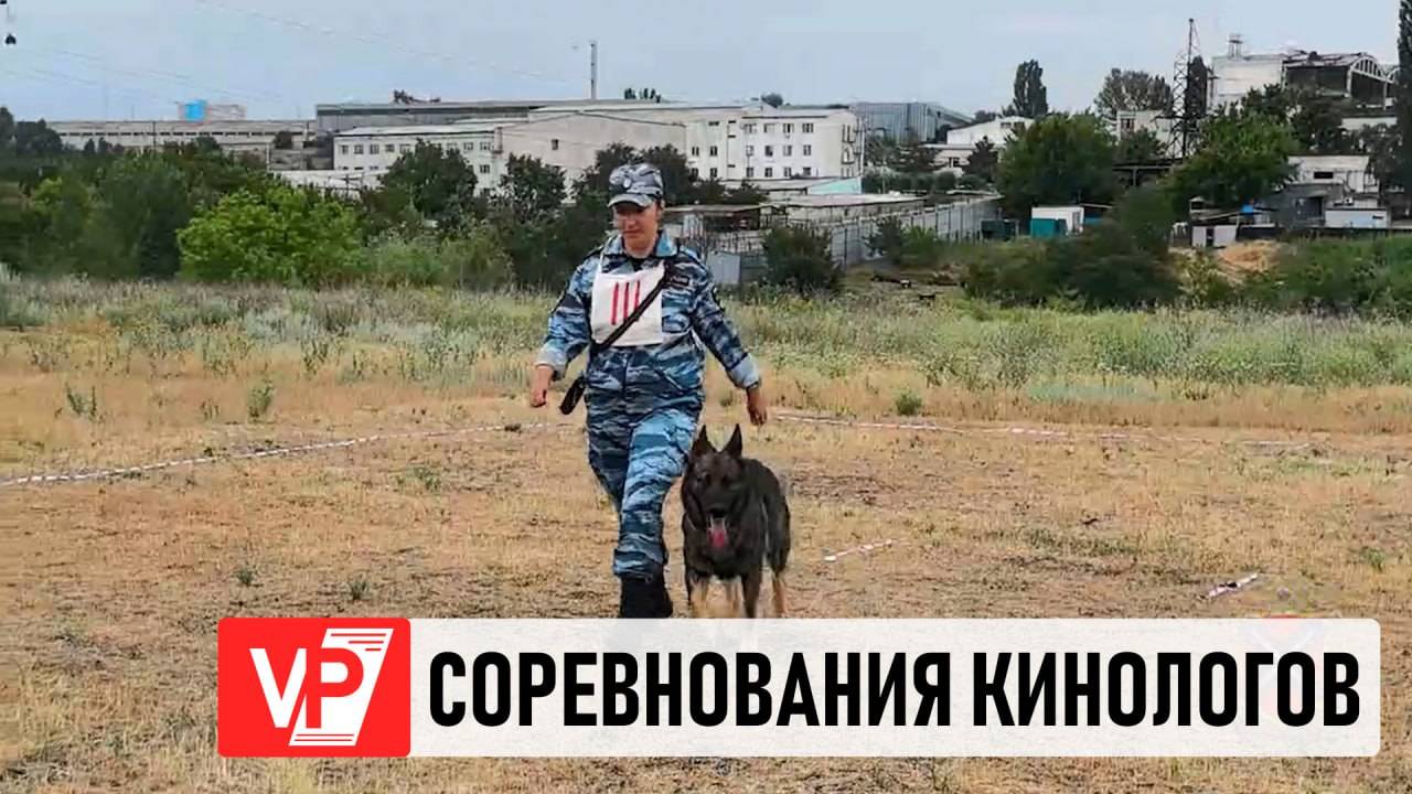 КИНОЛОГИ ПРОВЕЛИ В ВОЛГОГРАДЕ СОРЕВНОВАНИЯ