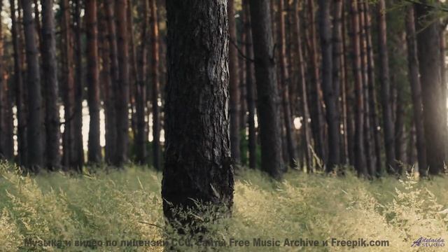 Мелодия, танцующая с ветром! - Моне -- Александр Недугин -- Министерва Любви