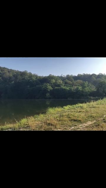 Давайте наслаждаться природой вместе #рыбалка #поплавок #донка