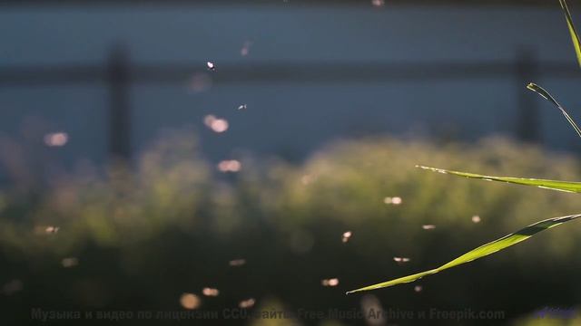 Эти виды + этот бит = бесконечный кайф! - Loneliness And Understanding 2 -- Kirk Osamayo -- Season T