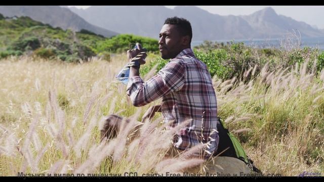 Поля танцуют, когда включается такой саунд - Top of the World -- Scott Holmes Music -- Media Music M