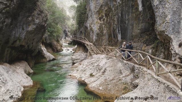 Природа в спектрах, невидимых человеческому глазу - технологии открывают тайны! - resist psychic dea