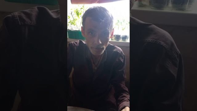 И снова о истории часть первая