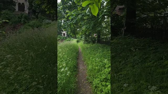 Кладбище Обратка должникам Закольцовка Переброс Чистка Открытие дорог #онлайн #ритуал Светлана ВЕДА