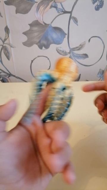 VID_20250618_111548.mp4