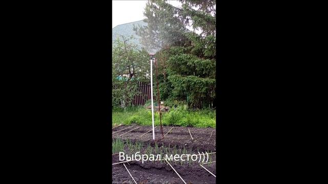 Кот. Фокс