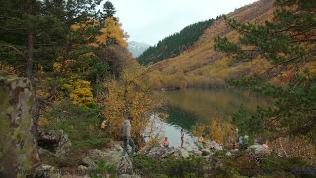 Хочется раствориться в зелени и музыке одновременно - Tricks -- Nihilore -- Best of 2020-2024