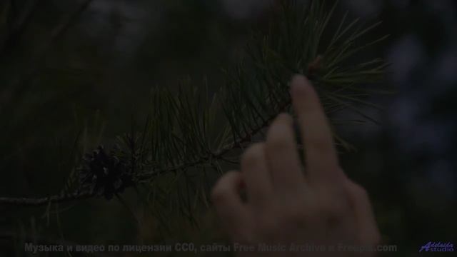 Леса превращаются в личный космос под эту мелодию - Tussle -- Ketsa -- Mini LP